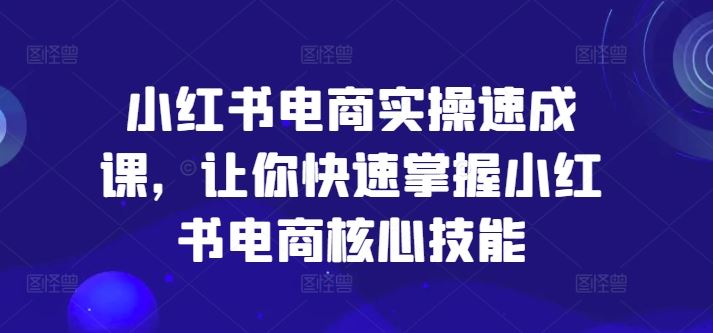 小红书电商实操速成课，让你快速掌握小红书电商核心技能-轻创淘金网