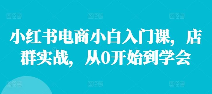 小红书电商小白入门课，店群实战，从0开始到学会-轻创淘金网