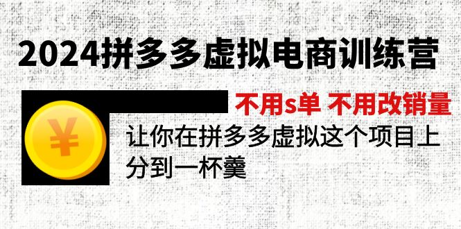 （12024期）2024拼多多虚拟电商训练营 不s单 不改销量  做虚拟项目分一杯羹(更新10节)-轻创淘金网