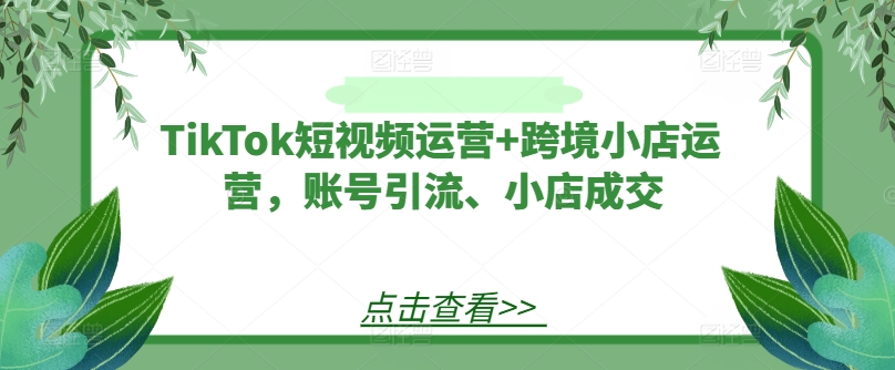 TikTok短视频运营+跨境小店运营，账号引流、小店成交-轻创淘金网