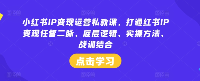 小红书IP变现运营私教课，打通红书IP变现任督二脉，底层逻辑、实操方法、战训结合-轻创淘金网